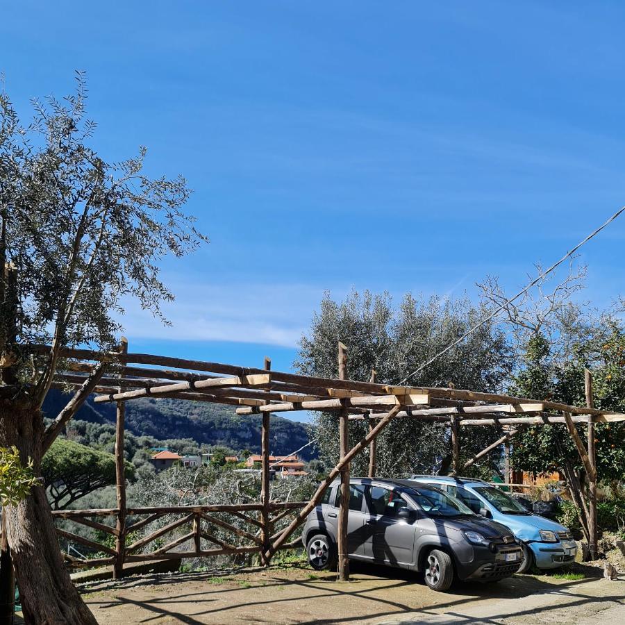 Casa Betania Da Peppe Villa Sorrento Eksteriør bilde