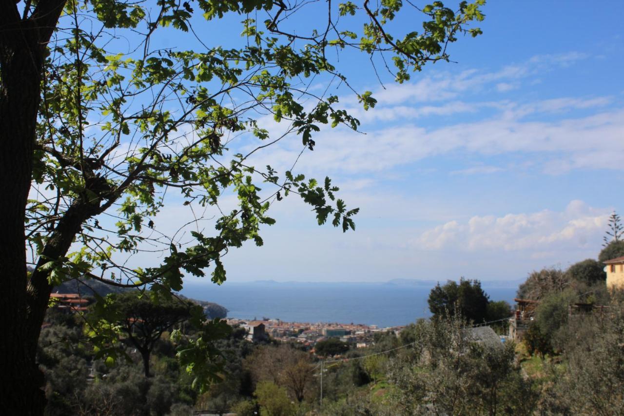 Casa Betania Da Peppe Villa Sorrento Eksteriør bilde