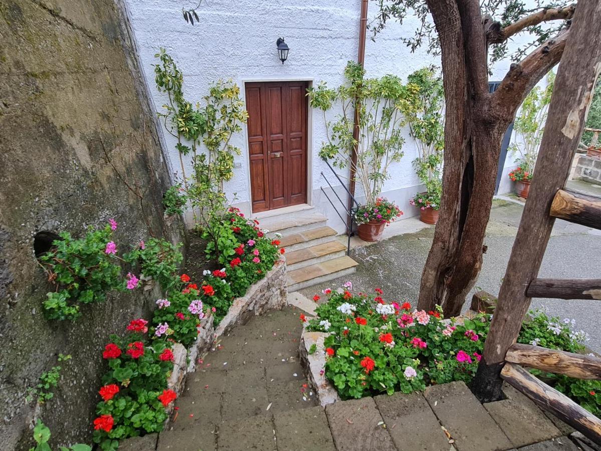 Casa Betania Da Peppe Villa Sorrento Eksteriør bilde