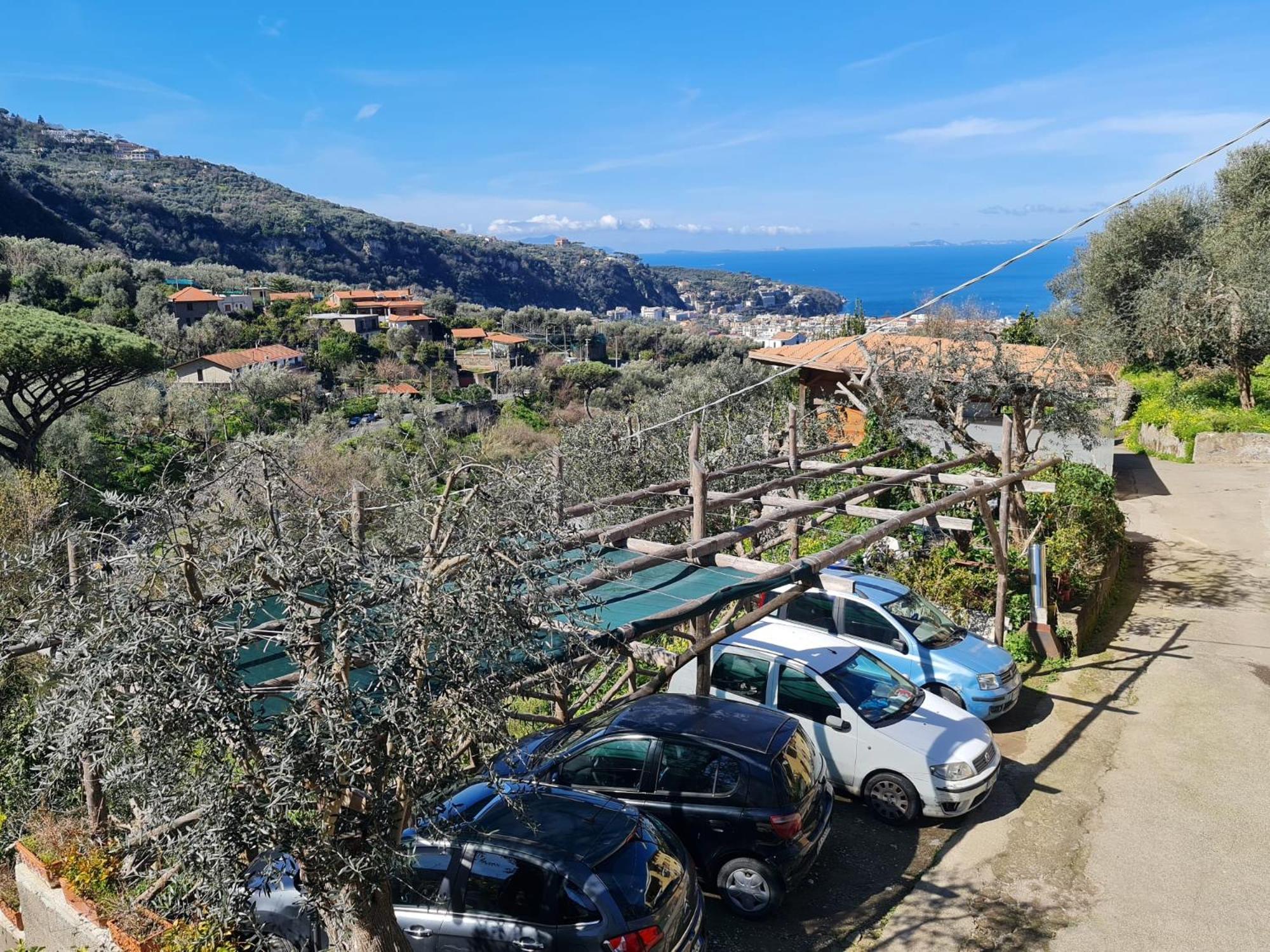 Casa Betania Da Peppe Villa Sorrento Eksteriør bilde